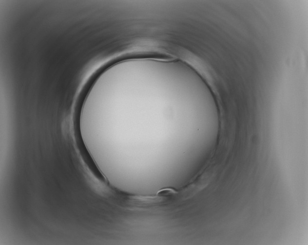 X0000110771344200906291040