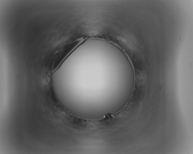 X0000110771349200906291040