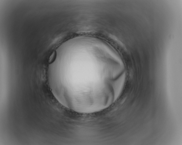 X0000110771350200906291040