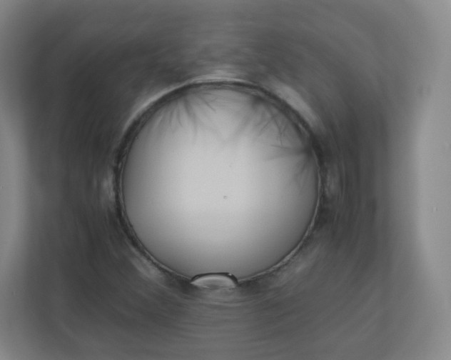 X0000110771356200906291040