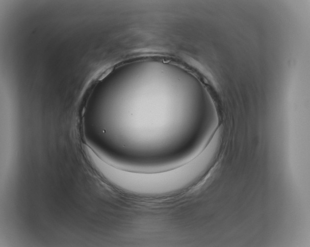 X0000110771357200906291040