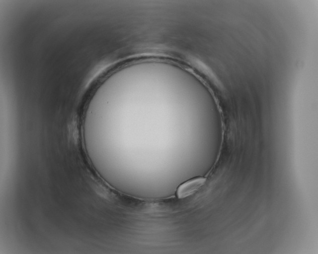 X0000110771360200906291040