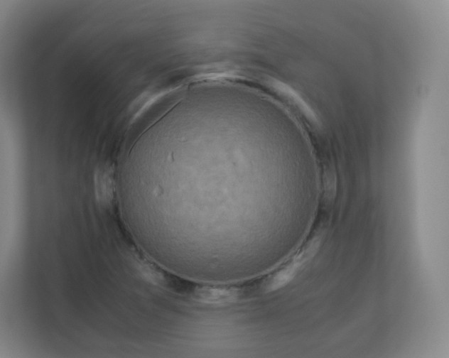 X0000110771361200906291040