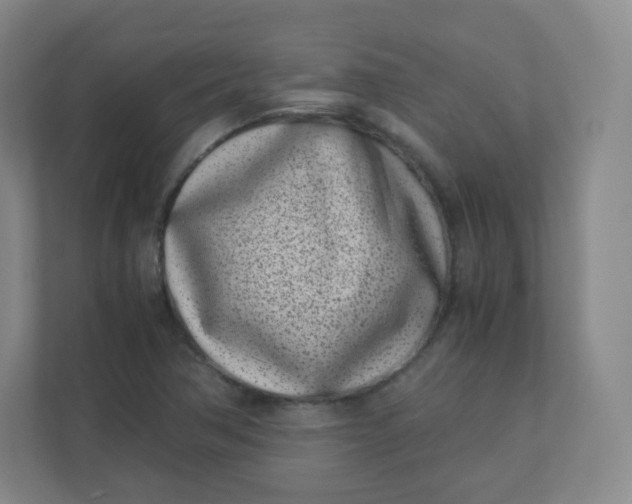 X0000110771362200906291040