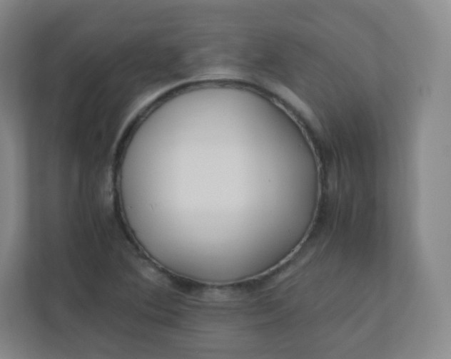 X0000110771364200906291040