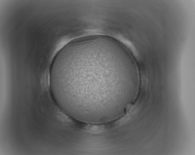 X0000110771365200906291039