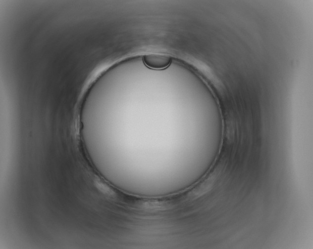 X0000110771366200906291039