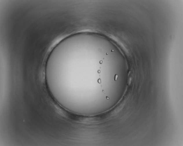 X0000110771367200906291039