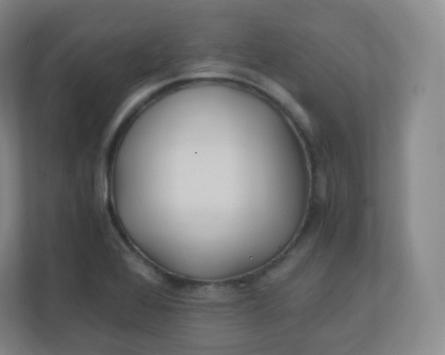 X0000110771368200906291039