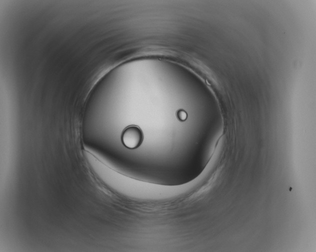 X0000110771369200906291039