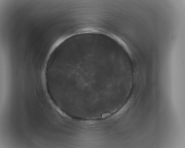 X0000110771373200906291039