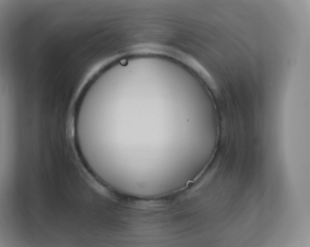 X0000110771376200906291039