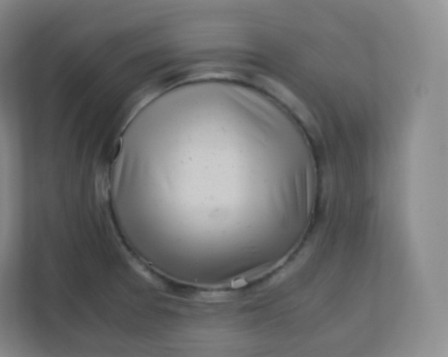 X0000110771377200906291039