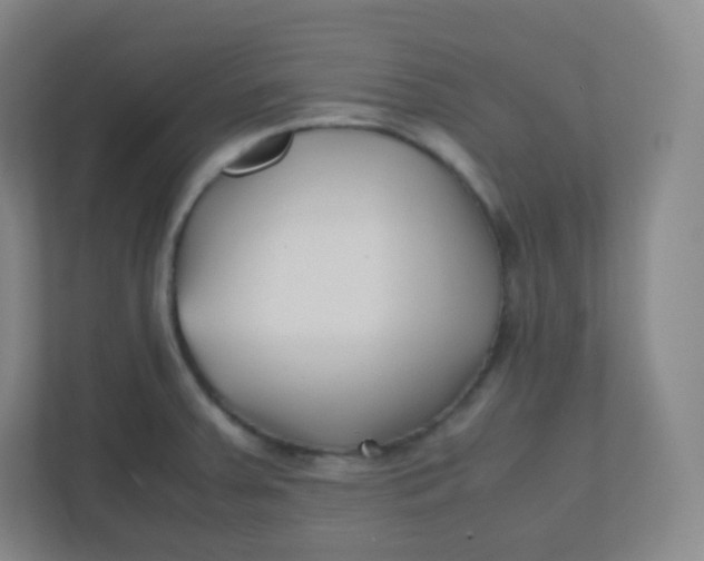 X0000110771379200906291039