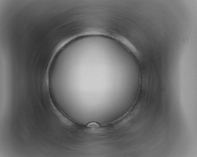 X0000110771380200906291039