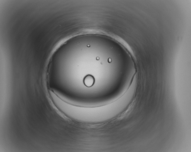 X0000110771381200906291039