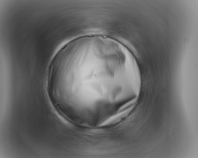 X0000110771383200906291039