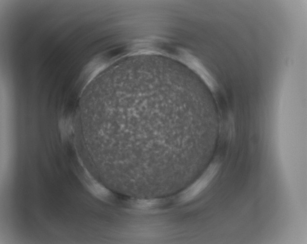 X0000110771385200906291039