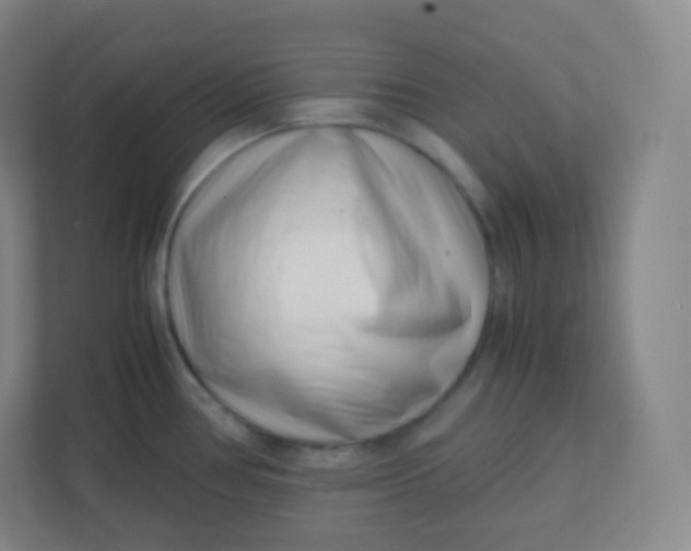 X0000110771386200906291039