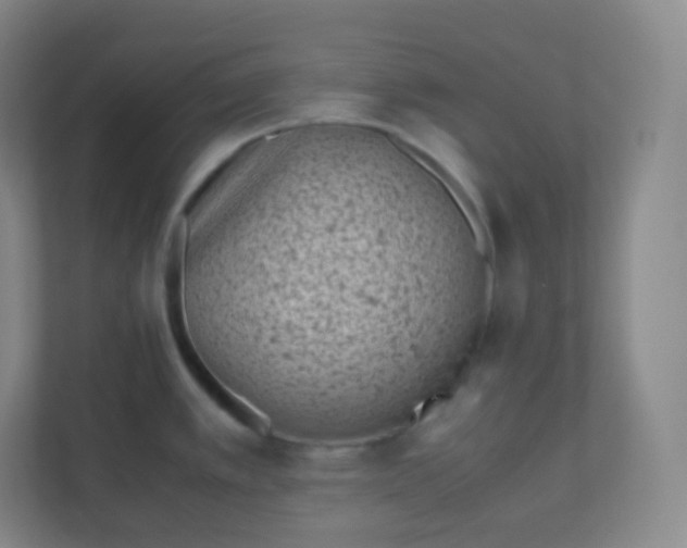 X0000110771389200906291039