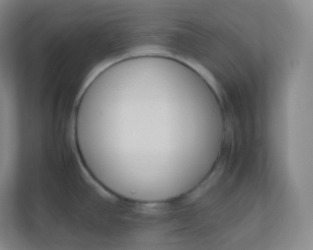 X0000110771390200906291039