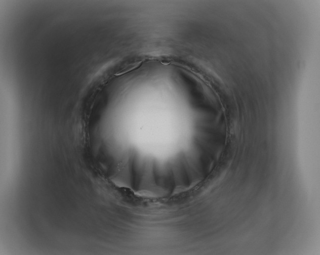 X0000110771398200906291039