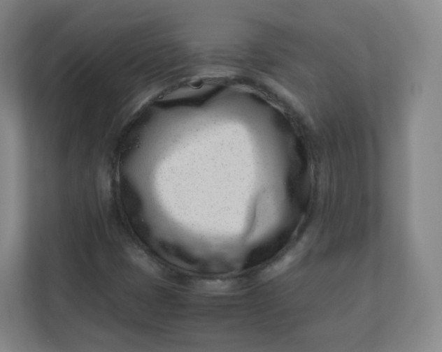 X0000110771401200906291039