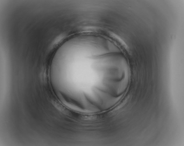 X0000110771403200906291039