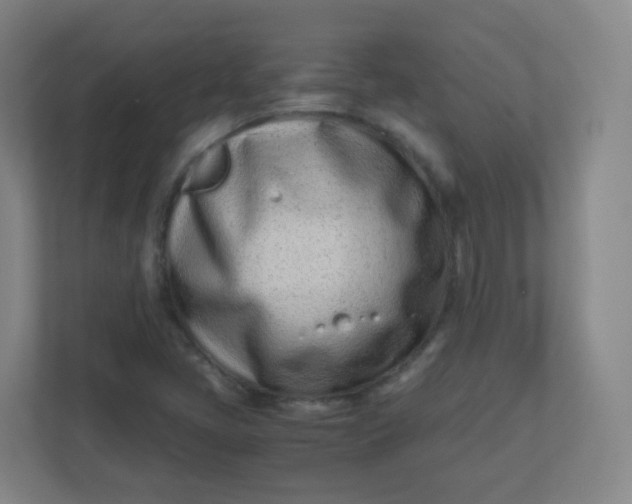 X0000110771405200906291039