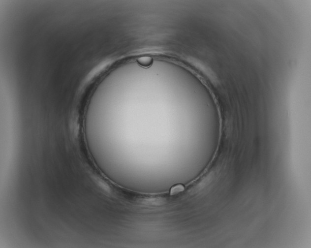 X0000110771406200906291039