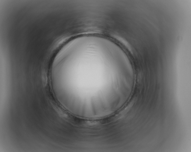 X0000110771407200906291039