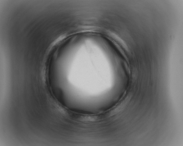 X0000110771411200906291039