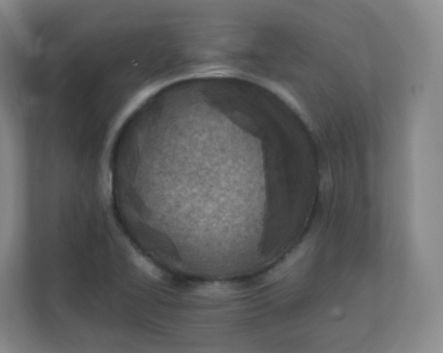 X0000110771414200906291039