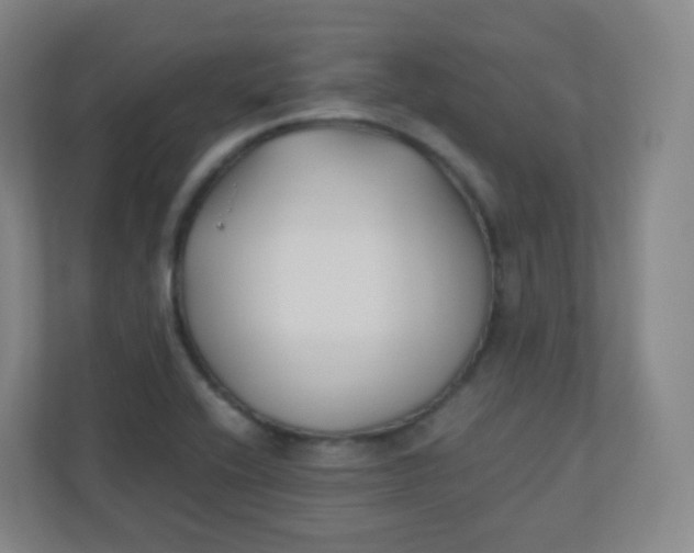 X0000110771416200906291039