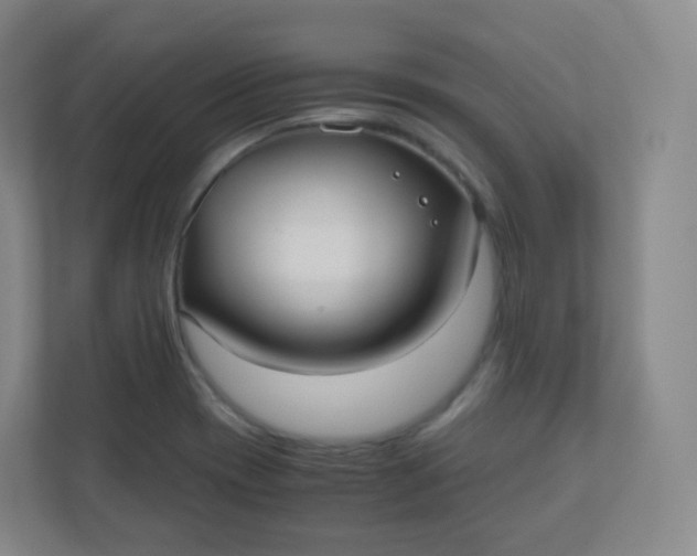 X0000110771417200906291039