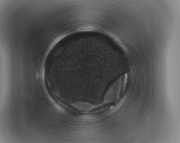 X0000110771418200906291039