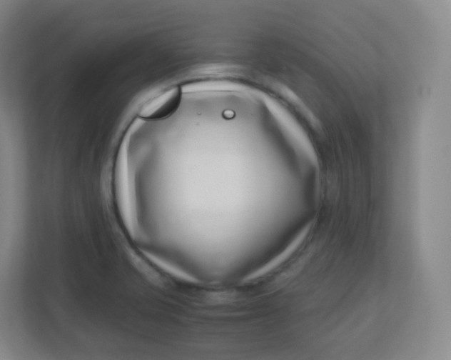 X0000110771421200906291039