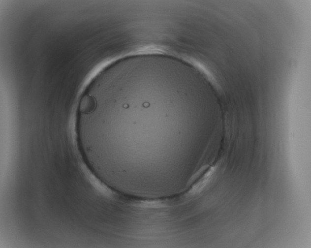 X0000110771422200906291039