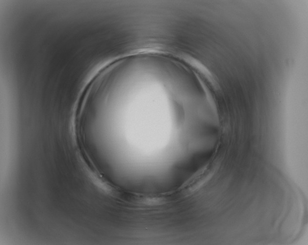 X0000110771423200906291039