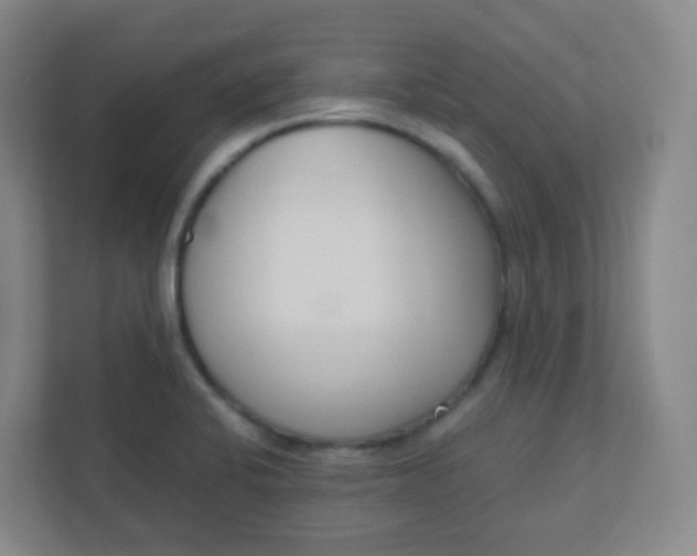 X0000110771424200906291039