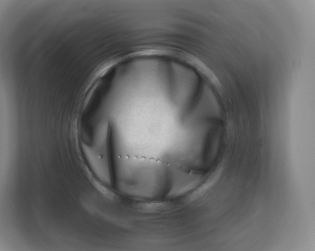 X0000110771425200906291039