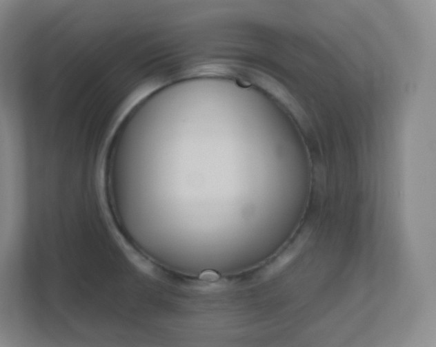 X0000110771426200906291039