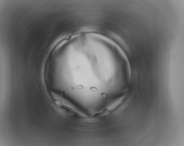 X0000110771427200906291039