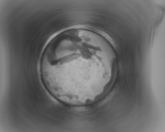 X0000110771428200906291039