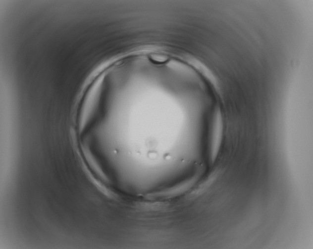 X0000110771429200906291039