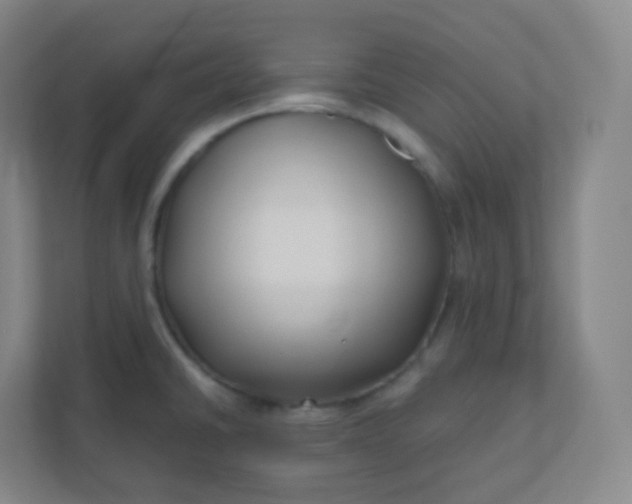 X0000110771430200906291039