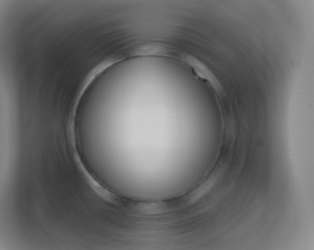 X0000110771434200906291039