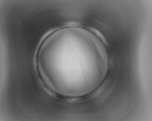 X0000110771435200906291039