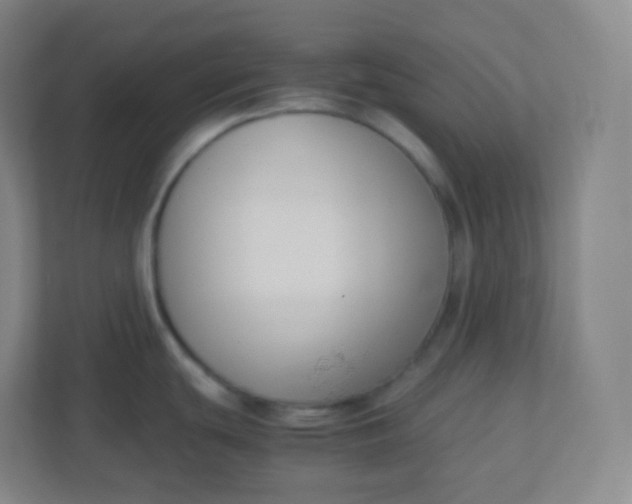 X0000110771439200906291039