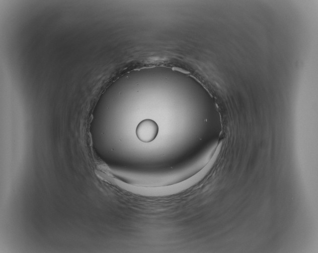 X0000110771441200906291039